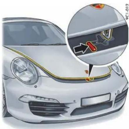 PORSCHE 911 Carrera (2013) - i 信息 - 2