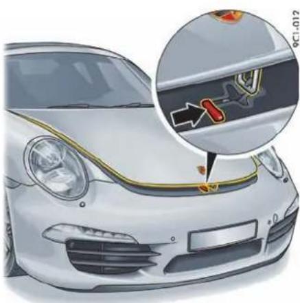 PORSCHE 911 Carrera (2015) - 信息 - 2