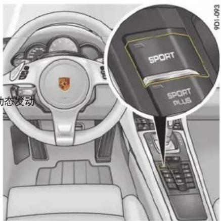 SPOR SPOR PLUS P01-093 动态发动