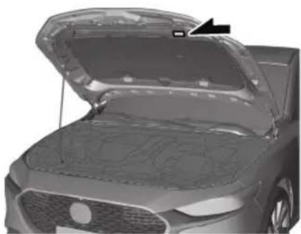 MAZDA 3 Hatchback (2021) - ▼ Chassis Number - 2