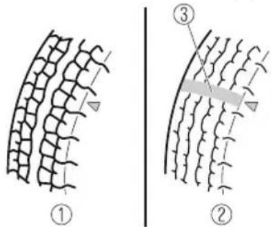 Diagram illustrating two stages of plant cell structure with labeled parts ① and ②, showing progressive arrangement and structural changes.