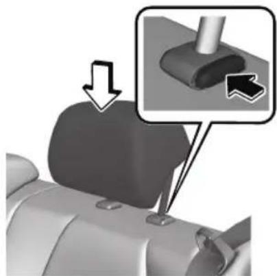 MAZDA 3 Hatchback (2021) - Rear outboard seats - 1