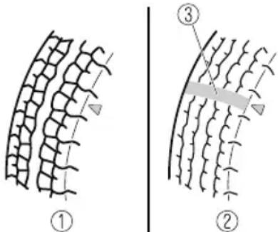 Diagram illustrating plant cell structure with labeled parts and structural details