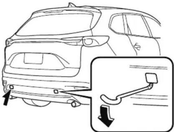 MAZDA CX-9 (2021) - Rear - 1