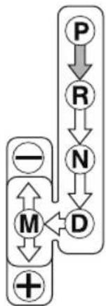 MAZDA CX-9 (2021) - Automatic Transaxle Controls - 2