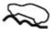 MAZDA CX-9 (2021) - ▼ Indication/Indicator Lights - 8