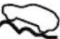 MAZDA CX-9 (2021) - ▼ Indication/Indicator Lights - 11