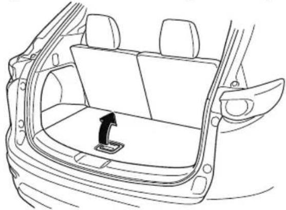 MAZDA CX-9 (2021) - Center cargo sub-compartment\* - 1