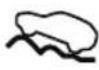 MAZDA CX-9 (2021) - ▼ Indication/Indicator Lights - 9
