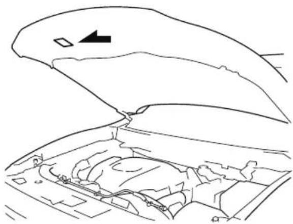 MAZDA CX-9 (2021) - ▼ Chassis Number - 2