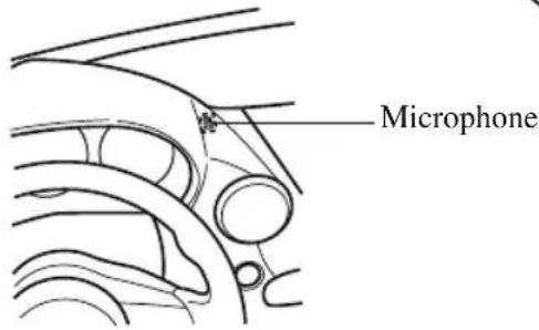 Microphone