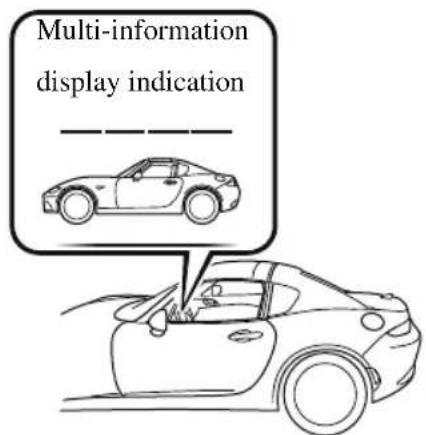 Multi-information display indication —