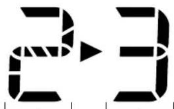23