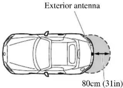 Exterior antenna 80cm (31in)