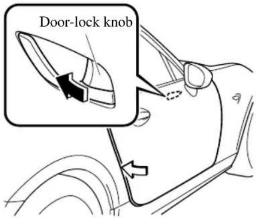 Door-lock knob
