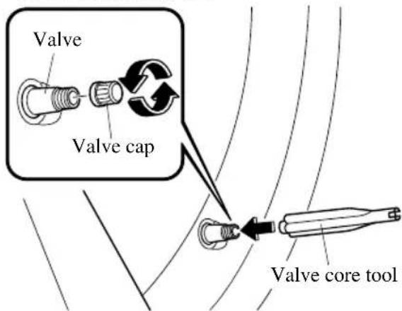 Valve Valve cap Valve core tool