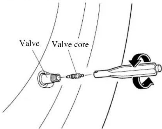 Valve Valve core