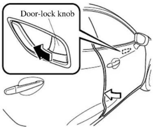 Door-lock knob