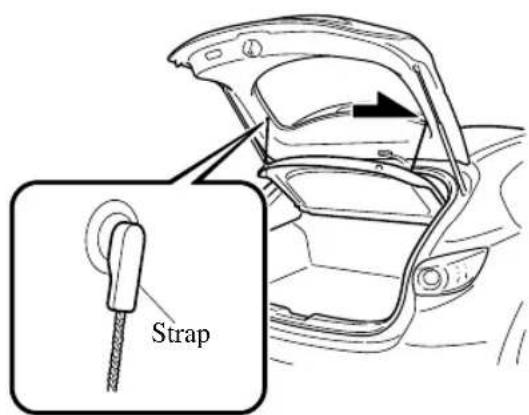 Strap