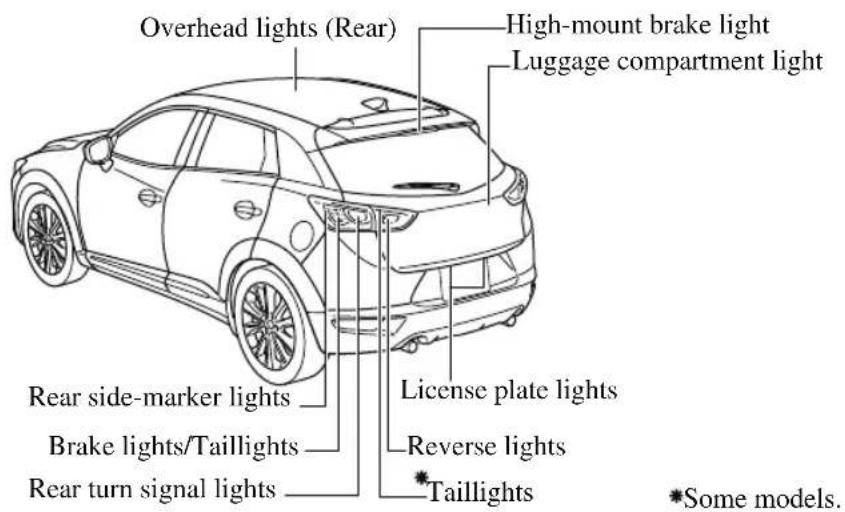 Overhead lights (Rear) High-mount brake light Luggage compartment light Rear side-marker lights Brake lights/Taillights Rear turn signal lights License plate lights Reverse lights *Taillights *Some models.