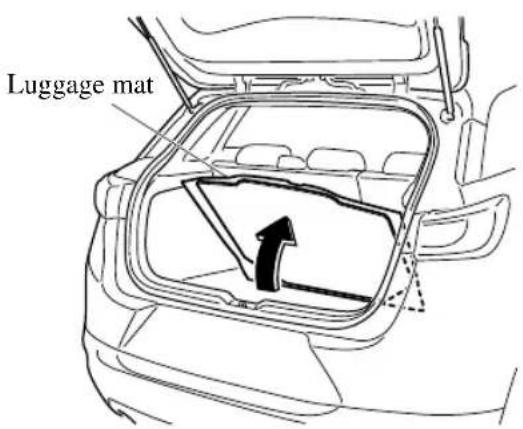 Luggage mat