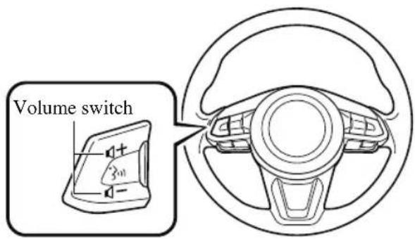 Volume switch