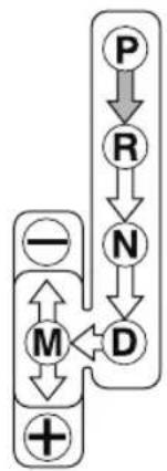 MAZDA CX-3 (2020) - Automatic Transaxle Controls - 2