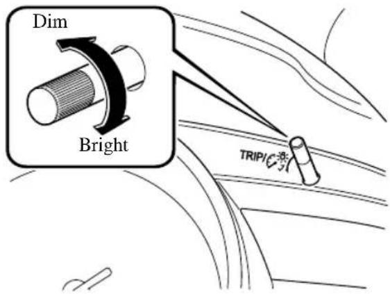 Dim Bright TRIP/C