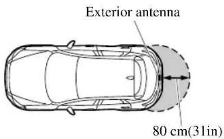 Exterior antenna 80 cm(31in)