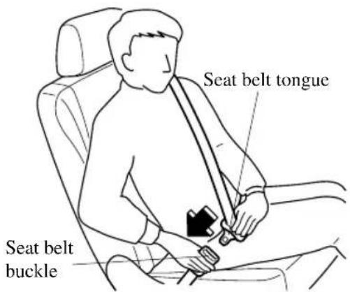 Seat belt tongue Seat belt buckle