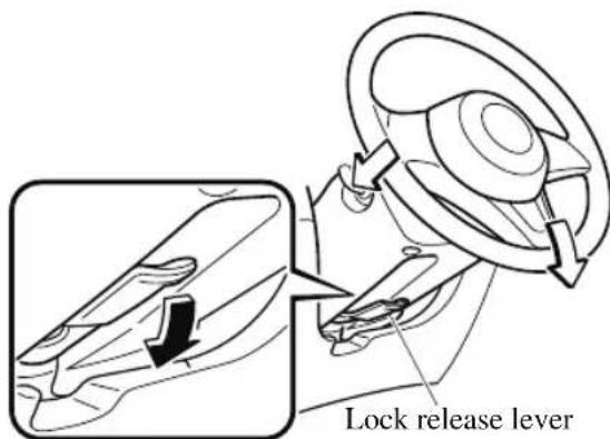 Lock release lever