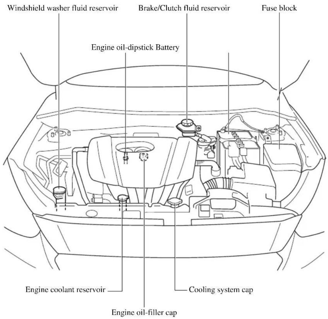 Windshield washer fluid reservoir Brake/Clutch fluid reservoir Fuse block Engine oil-dipstick Battery Engine coolant reservoir Cooling system cap Engine oil-filler cap