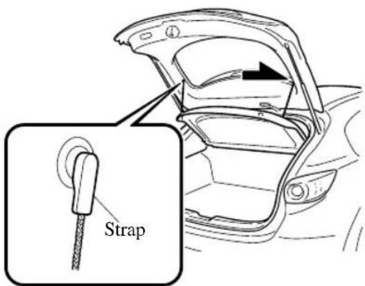 Strap