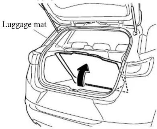 Luggage mat