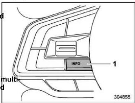 multi- INFO 1 304855