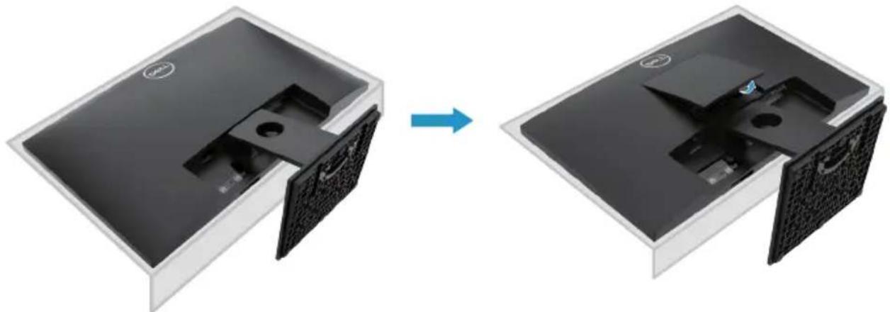 DELL E Series E2421HN - E2221HN - 1
