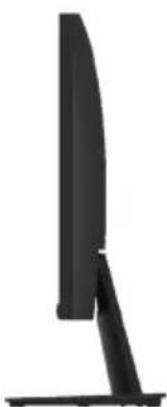 DELL E Series E2421HN - Seitenansicht - 1