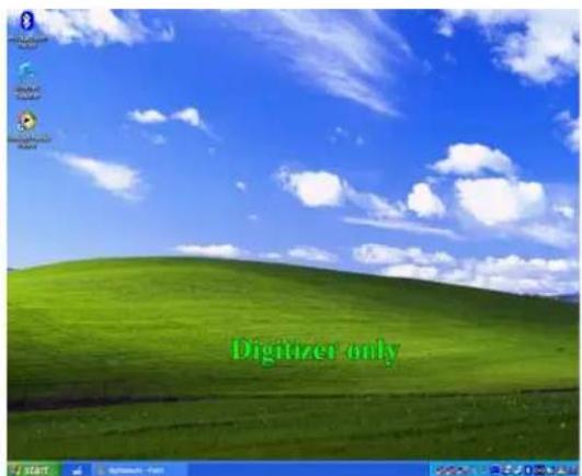 Digitizer only