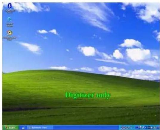 Digitizer only