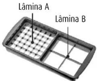 Lâmina A Lâmina B