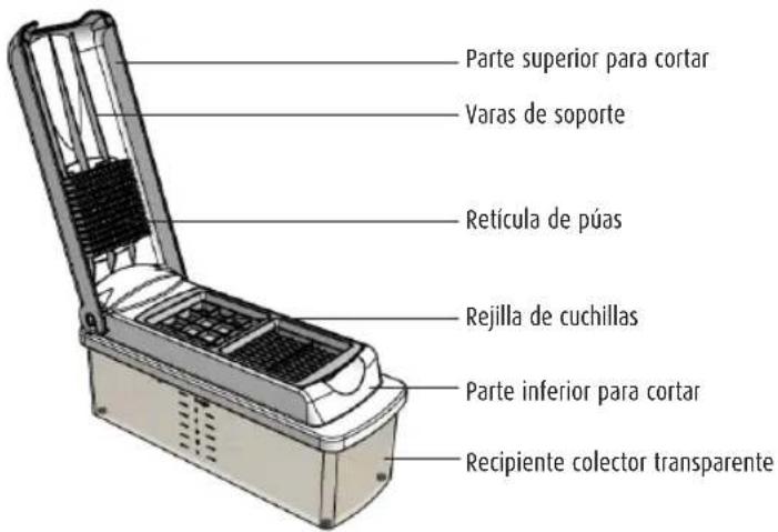 Ernesto IAN 113466 - 1