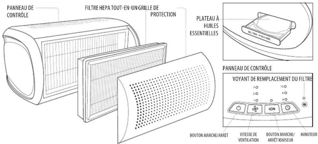 PANNEAU DE CONTROLE FILTRE HEPA TOUT-EN-UN GRILLE DE PROTECTION PLATEAU À HUILES ESSENTIELLES PANNEAU DE CONTROLE VOYANT DE REMPLACEMENT DU FILTRE 3 O 12 O 2 O 8 O 1 O 4 O BOUTON MARCHE/ARRÊT VITESSE DE VENTILATION BOUTON MARCHE/ ARRÊT IONISEUR MINUTEUR