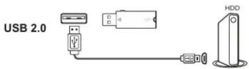 TCL 50P616 - Headphone socket (output) - 1