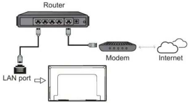 TCL 50P616 - Connecting to a wired Network - 1