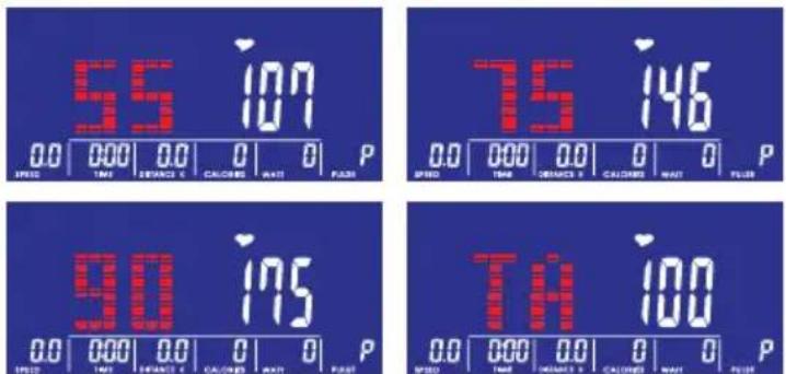 Flow Fitness Stelvio Pro i - Hartslaggestuurde training - 2