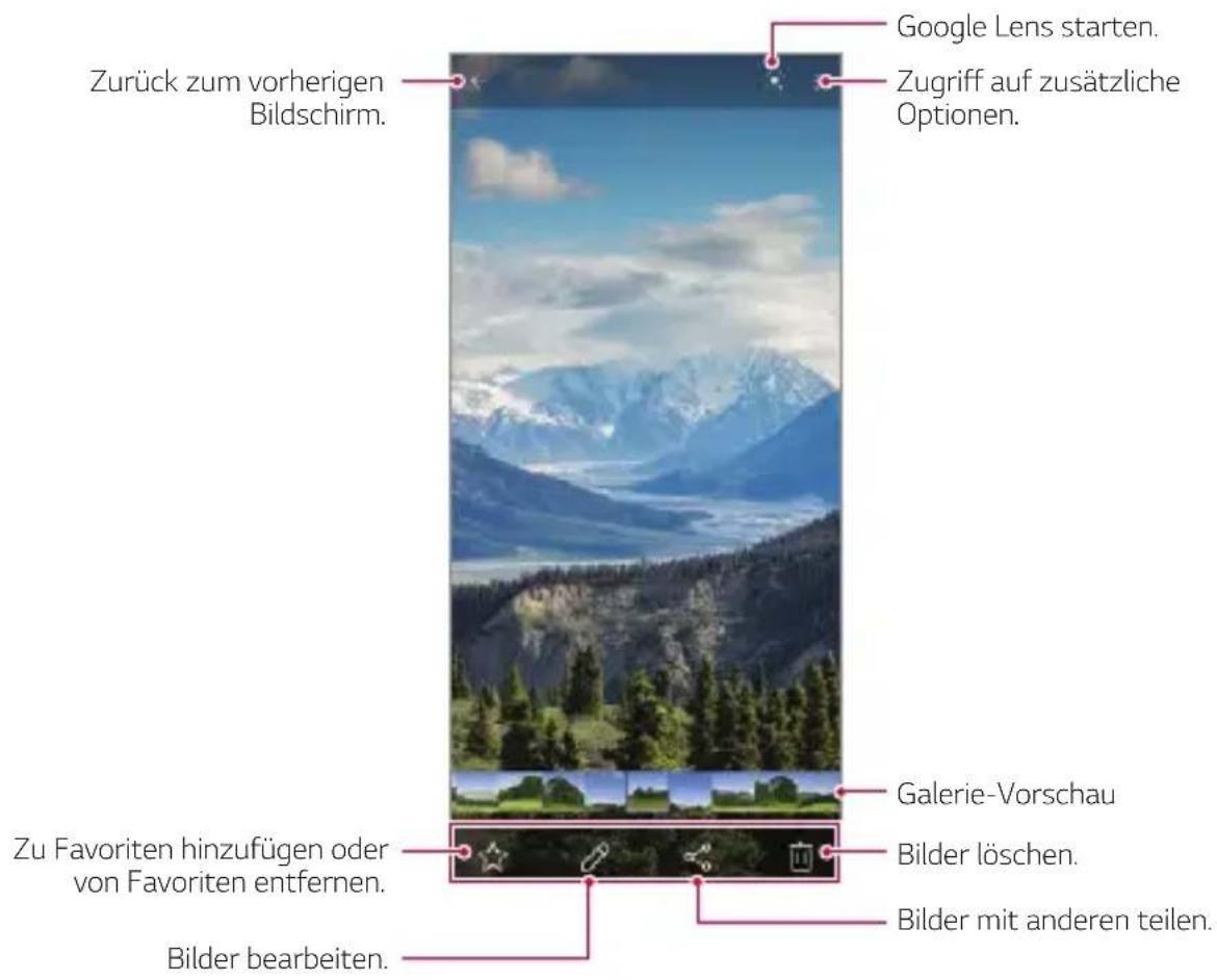 Zurück zum vorherigen Bildschirm. Google Lens starten. Zugriff auf zusätzliche Optionen. Galerie-Vorschau Bilder löschen. Bilder mit anderen teilen. Zu Favoriten hinzufügen oder von Favoriten entfernen. Bilder bearbeiten.