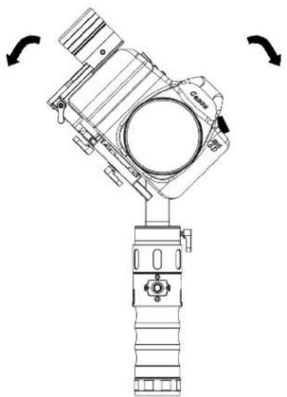 Ikan Beholder-EC1 - TIP - 1