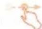 ALCATEL One Touch Pop S9 - Schnippen - 1