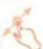 ALCATEL One Touch Go Play - Ziehen - 1