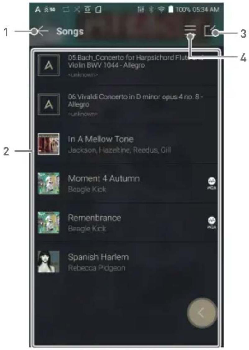Astell&Kern KANN - Musik hören - 2